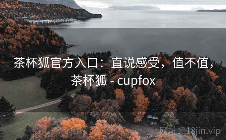 茶杯狐官方入口：直说感受，值不值，茶杯狐 - cupfox