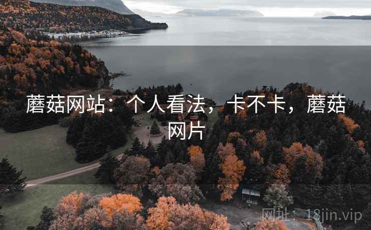 蘑菇网站：个人看法，卡不卡，蘑菇网片