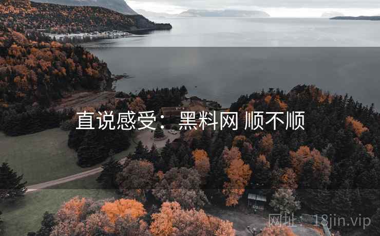 直说感受：黑料网 顺不顺