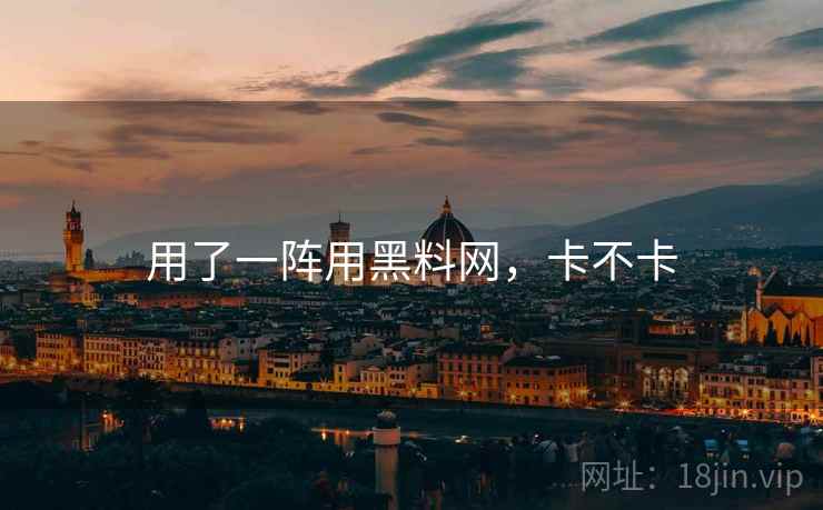 用了一阵用黑料网，卡不卡